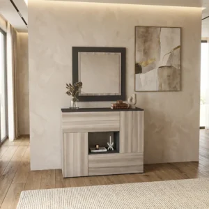 مدخل وخزانة مع مرايا 042